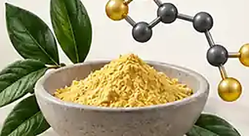 Alpha Lipoic Acid