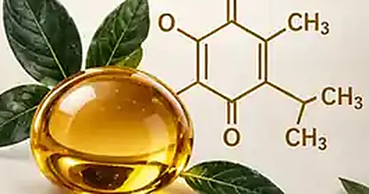 Coenzyme Q10
